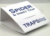 Universal Crawling Insect Trap