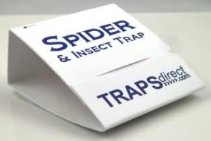Universal Crawling Insect Trap